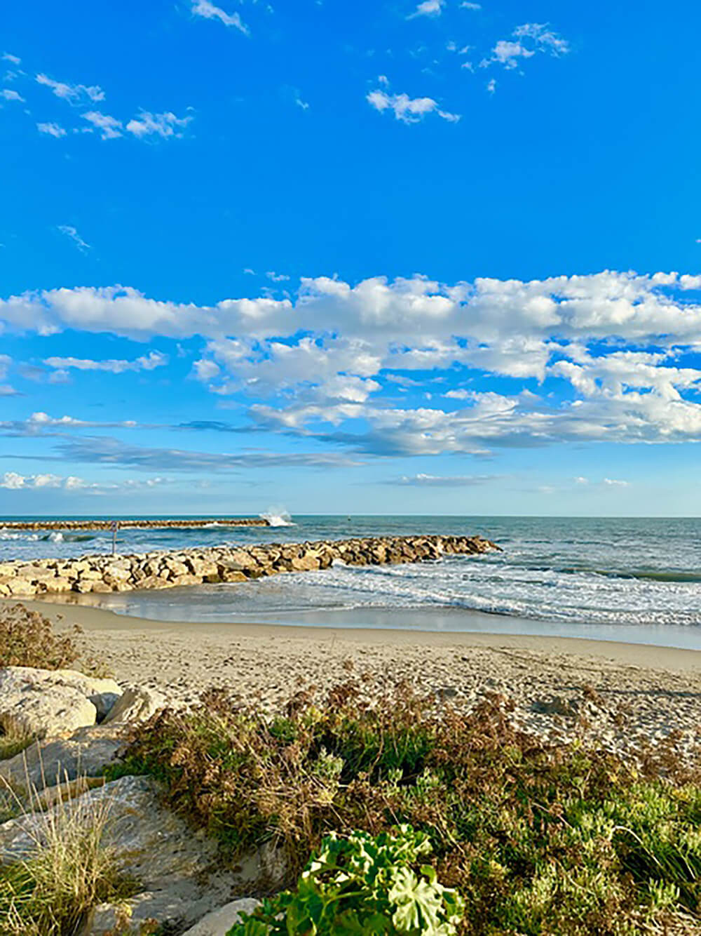Cathdad créations Vacances ensoleillées aux Saintes Maries de la Mer
